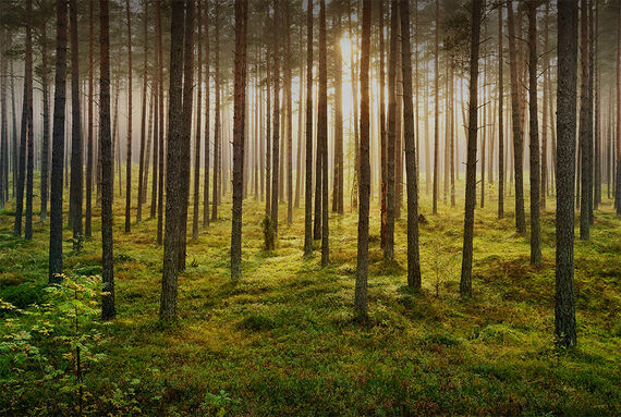 Pour un avenir durable