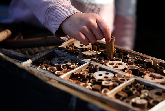 Insect hotel in a flowery meadow - Osmo craft project for young and old