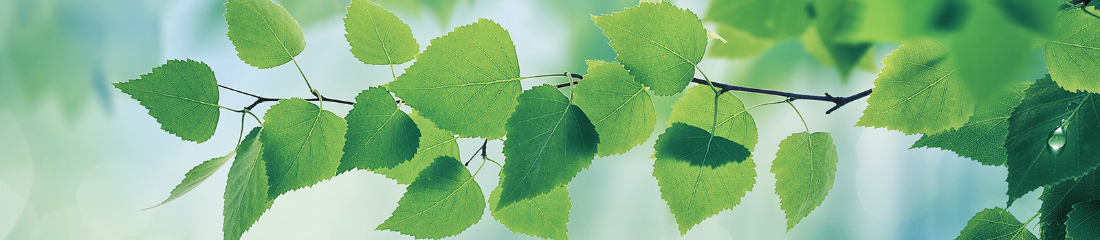 Pour un avenir durable